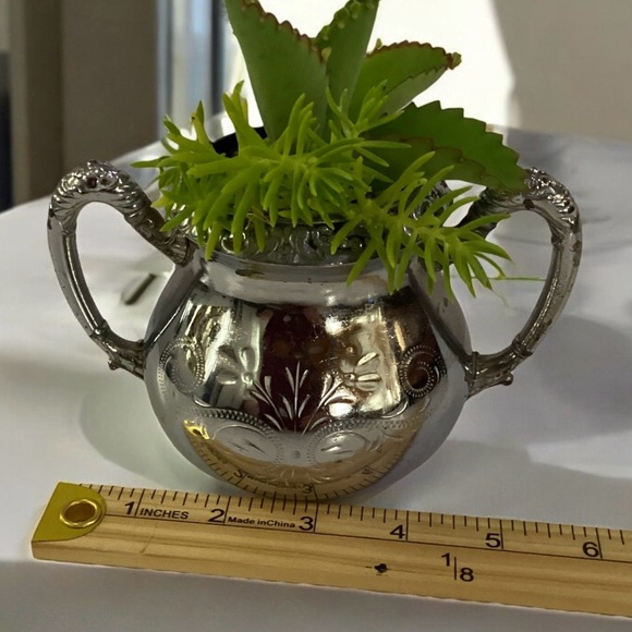 Homan Silver Planter With Live Succulents Mother Of Thousands & Sedum - Picture 3 of 4